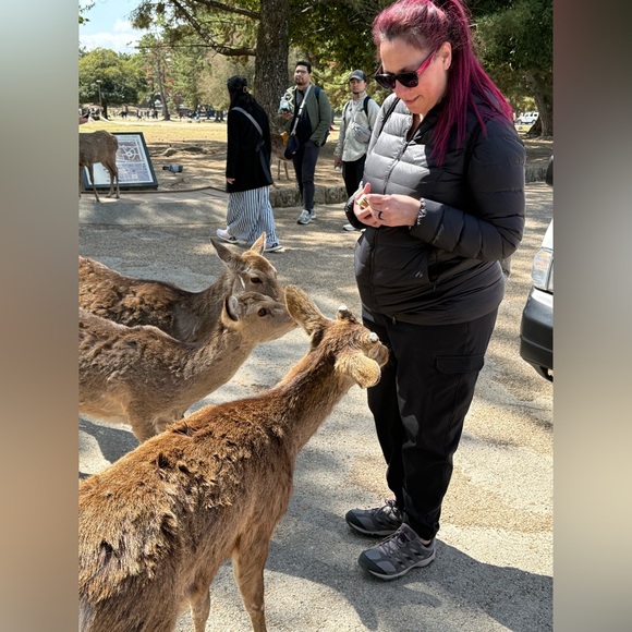 DAYNAC19 is NOW ADDICAT DESIGNS - Picture 9 of 16